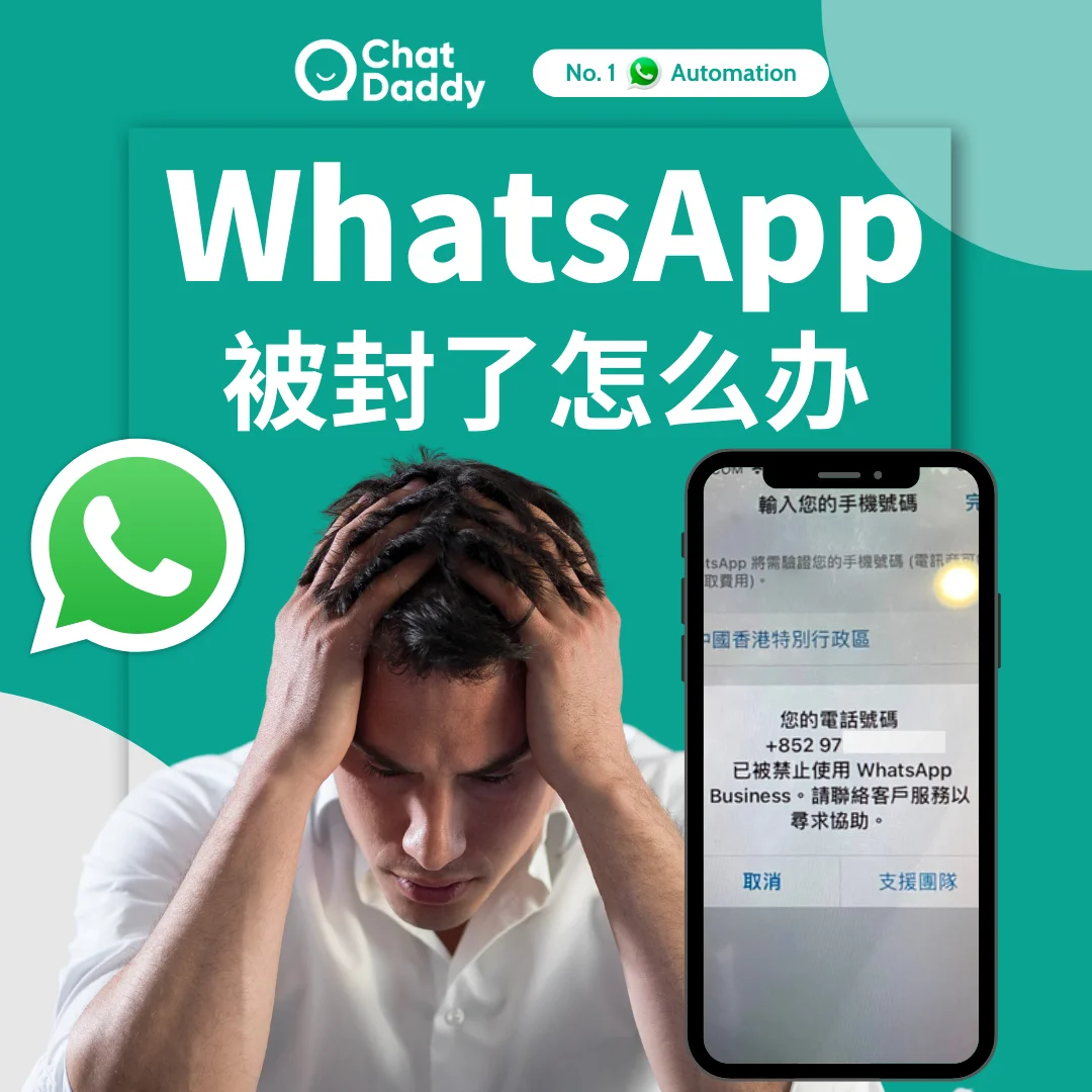 安卓下载WhatsApp_安卓下载whatsapp方法_whatsapp怎么下载安卓