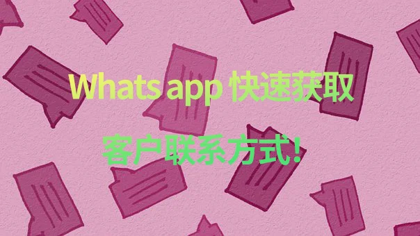 whatsapp国内正版下载_whatsapp中文官网下载_whatsapp官方中文正版