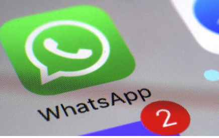whatsapp正版下载_正版下载233乐园_正版下载蛋仔派对