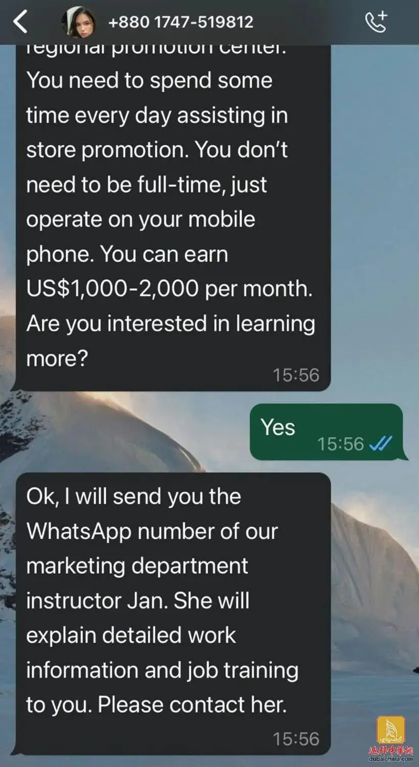 whatsapp最新版_最新版whatsapp下载_whatsapp最新版