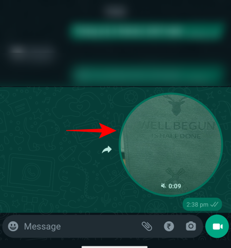 官方whatsapp安卓_whatsapp官方app_官方whatsapp网站