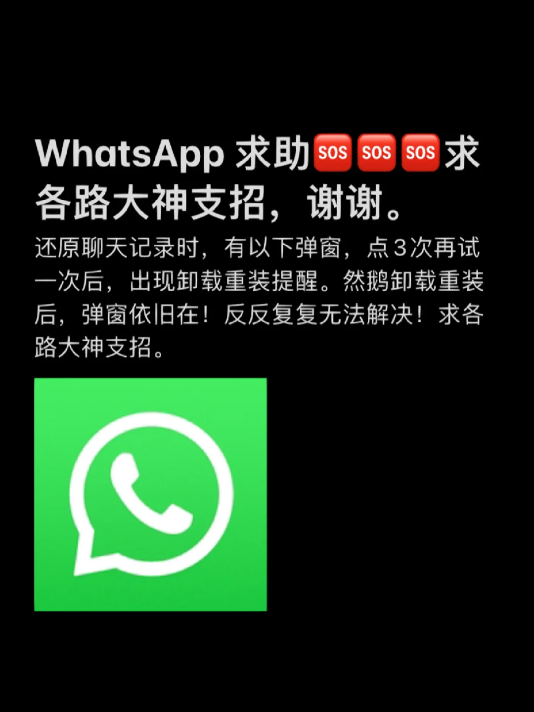 官方下载中国象棋_whatsapp官方下载_官方下载微信