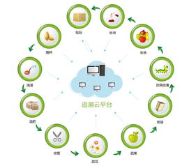 aleo区块链骗局曝光,揭秘其背后的欺诈手段