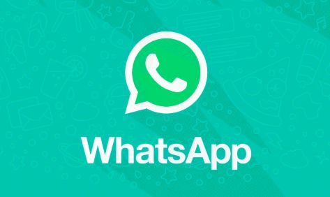 whatsapp发消息两个勾是什么意思,消息送达与阅读状态全解析