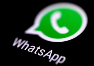 whatsapp 打开一片白,WhatsApp开启的无限创意空间之旅