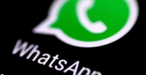 WhatsApp不用电话注册,WhatsApp轻松开启新通讯体验