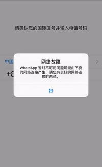 whatsapp 登不上去了,WhatsApp登录故障排查指南