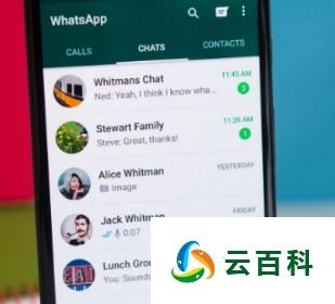 WhatsApp的用处,便捷生活的助手