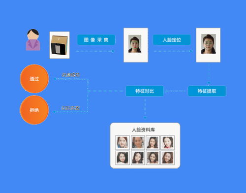 拍照识别全能王软件安卓下载安装官方版 