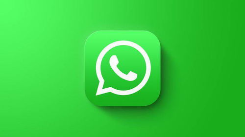 whatsapp发的消息只有一个对号,揭秘WhatsApp单对号消息背后的高效沟通之道