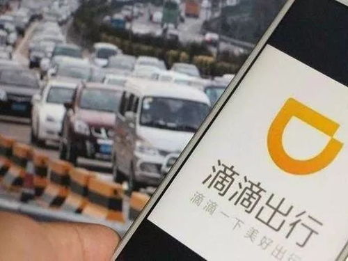 保护狗狗安全 