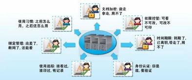 屏幕使用时间安卓版 