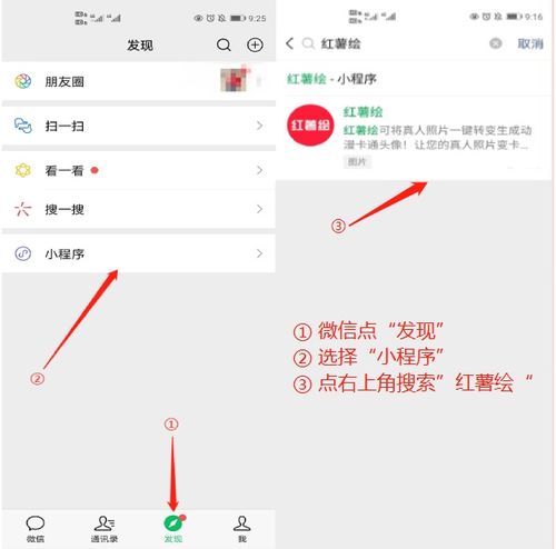 猫爪影像下载网站 