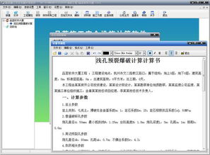 体操少女之奥运冠军 