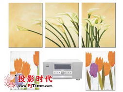 白描下载软件安装 