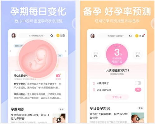 播种怀孕社区 