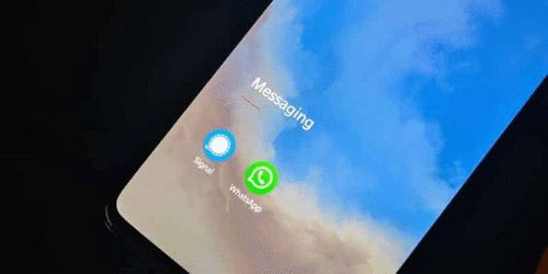 whatsapp看消息是否发出,WhatsApp消息发送状态概述