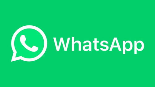 whatsapp开发国外客户,高效开发国外客户的秘诀与技巧