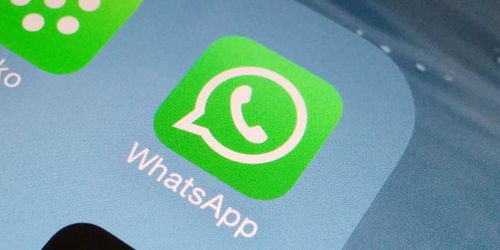 白俄罗斯聊天软件whatsapp,WhatsApp引领聊天软件潮流