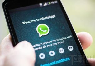 WHATSAPP是什么颜色美甲,时尚指尖的潮流新选择