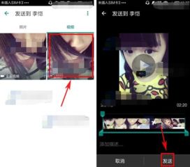 whatsapp文件用什么打开,轻松掌握文件处理技巧