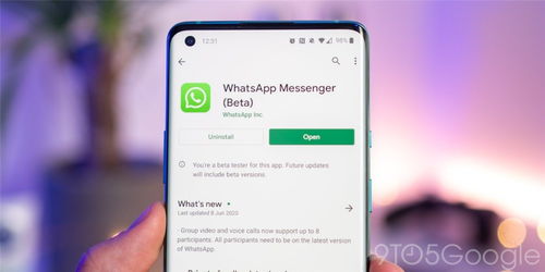 whatsapp退出登录还有没有聊天记录,聊天记录如何处理？