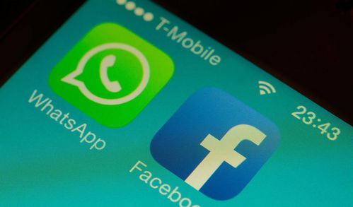 whatsapp怎么不能建群,正确构建社交网络