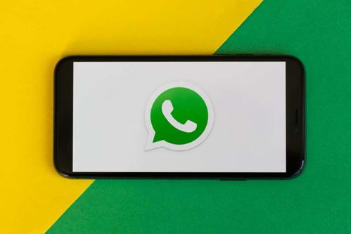 whatsapp拉黑了