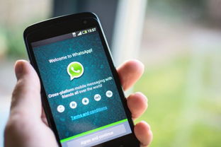 whatsapp灰色双勾代表,消息已送达但未阅读的确认标志