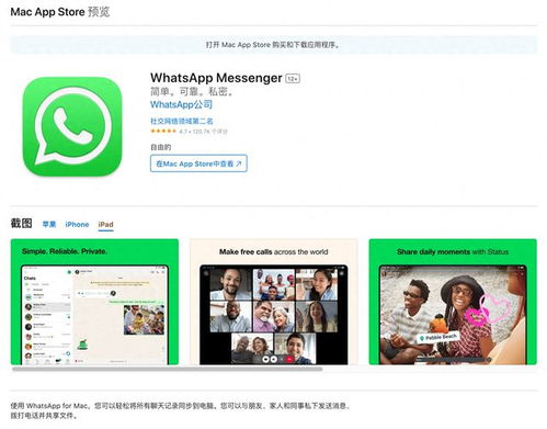 whatsapp在ipad版,开启高效沟通新时代！