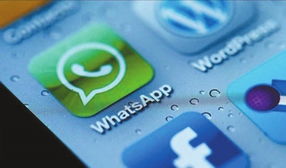 whatsapp怎么买,轻松实现一键购物体验