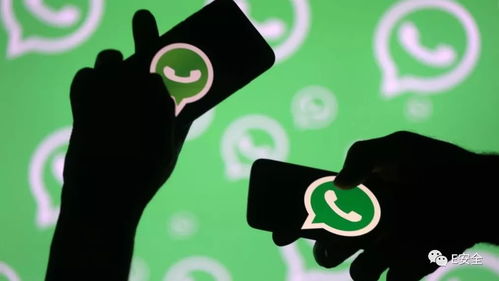whatsapp海豹,社交巨头背后的神秘力量