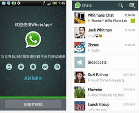 whatsapp群号,高效跨境精准获客新途径