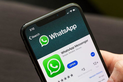 WhatsApp发出的信息是一个勾,勾号背后的秘密——解锁即时通讯新体验