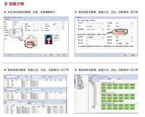 能源及安全管理 