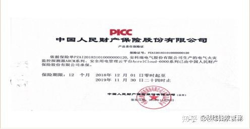 怎么样才能不当社畜:妻子的故事 
