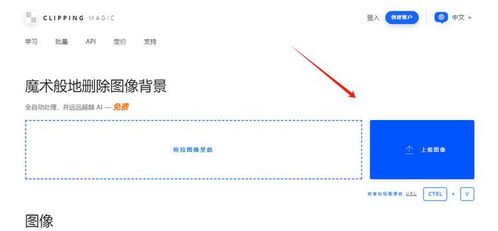 屏幕使用时间安卓版 