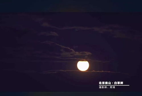 月亮播放器官网版下载 