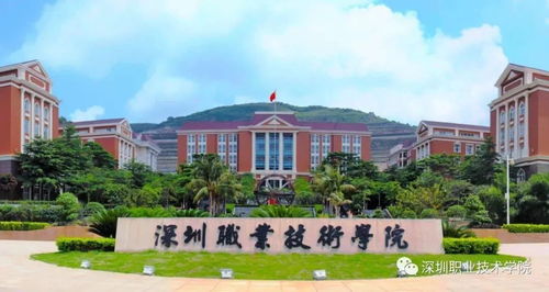 中粮期货从业考试题库大全专业版下载 