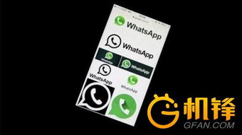 WhatsApp虚拟币,社交巨头进军加密货币领域的全新尝试