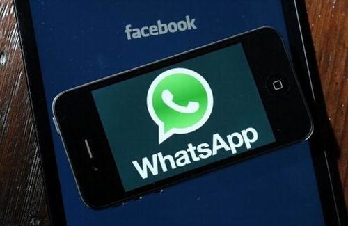 whatsapp怎么加美国电话区号是多少,WhatsApp通讯必备指南