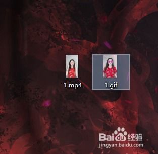whatsapp下载GIF后成了视频,轻松转换技巧揭秘