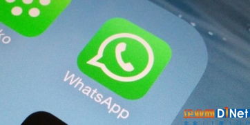 whatsapp为什么好慢,揭秘WhatsApp运行缓慢的深层原因