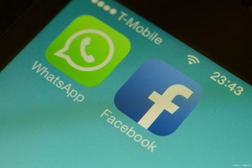 whatsapp新号建群会封号吗,安全群建指南