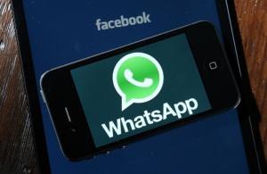 wp whatsapp不推送,为何WP WhatsApp不再推送消息？