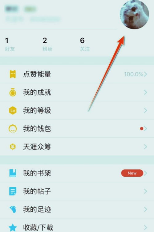 whatsapp怎么切换帐号,WhatsApp多账号轻松切换指南