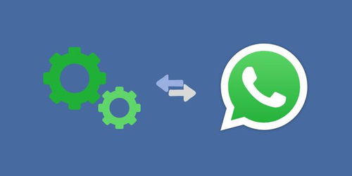 whatsapp有谁用,揭秘全球热门即时通讯应用的社交奥秘