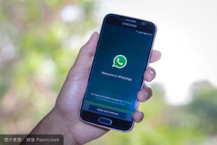 安卓装WhatsApp问题,安卓设备安装WhatsApp的常见问题及解决方案